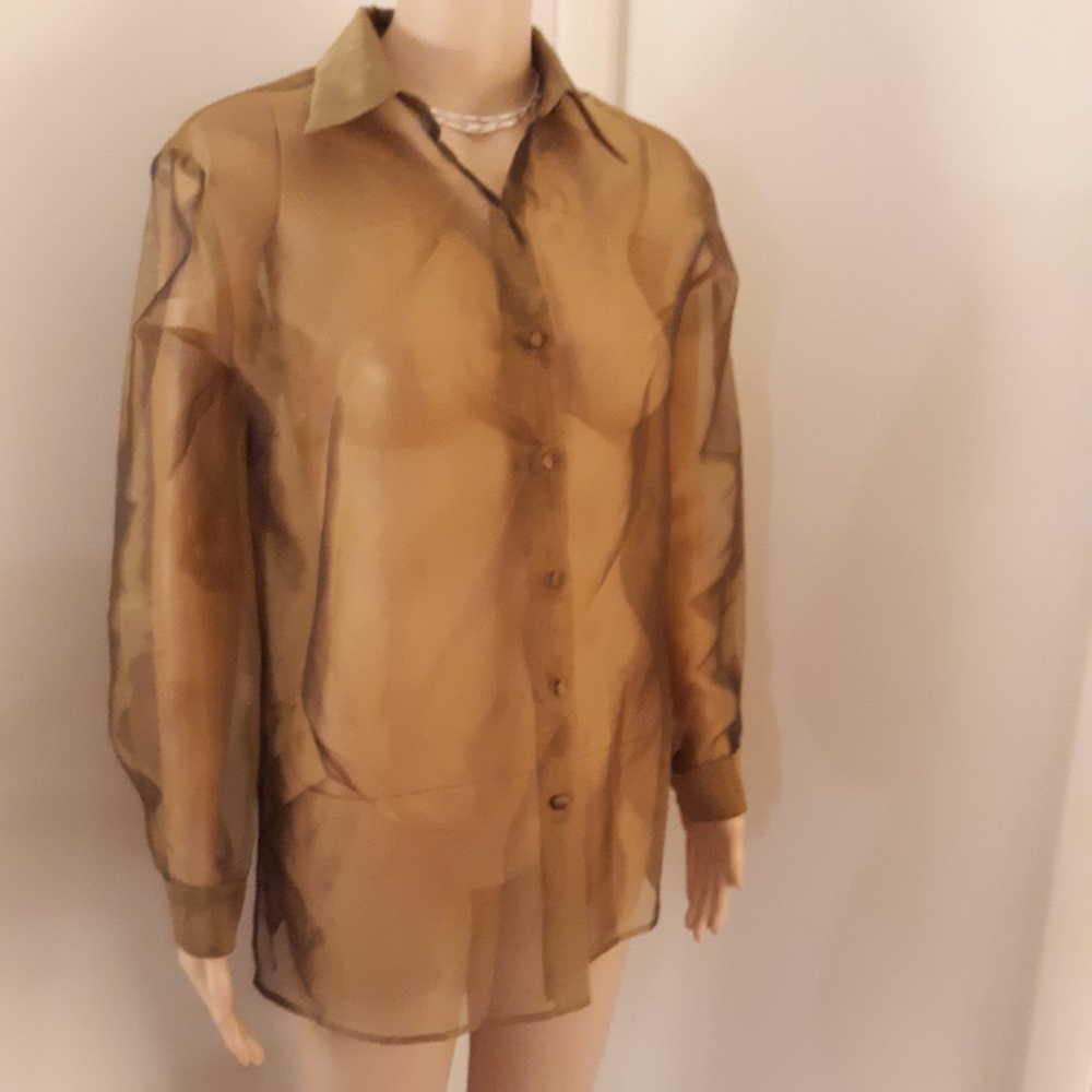 Ann Taylor Sheer Olive Button Down Dress Shirt